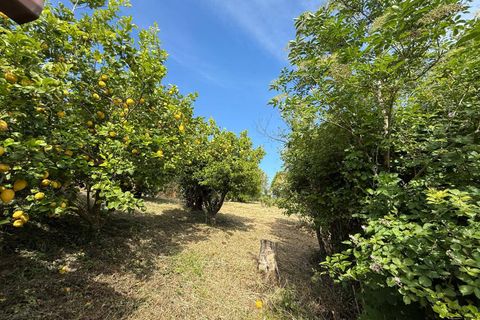 Villa i Caiazzo, Caserta, Caiazzo - € 320.000 | Ref: VV34 - foto 3