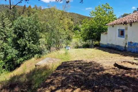 Farm i Estremoz, Evora, Estremoz - € 450.000 | Ref: UNU.I.1277.20159 - foto 7