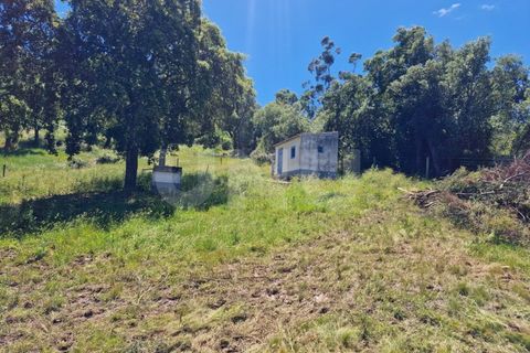 Farm i Estremoz, Evora, Estremoz - € 450.000 | Ref: UNU.I.1277.20159 - foto 13