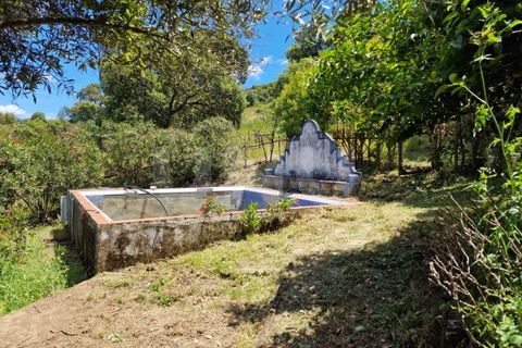 Farm i Estremoz, Evora, Estremoz - € 450.000 | Ref: UNU.I.1277.20159 - foto 17