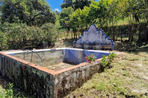 Farm i Estremoz, Evora, Estremoz - € 450.000 | Ref: UNU.I.1277.20159 - foto 21
