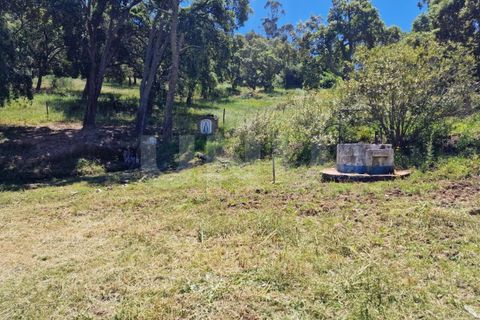 Farm i Estremoz, Evora, Estremoz - € 450.000 | Ref: UNU.I.1277.20159 - foto 25