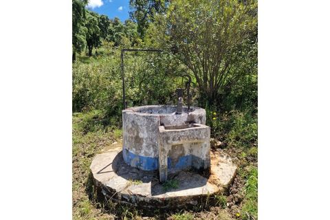 Farm i Estremoz, Evora, Estremoz - € 450.000 | Ref: UNU.I.1277.20159 - foto 26