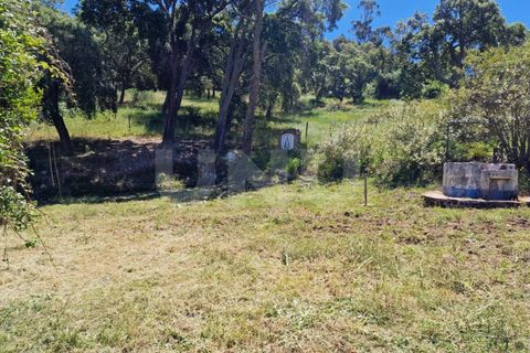Farm i Estremoz, Evora, Estremoz - € 450.000 | Ref: UNU.I.1277.20159 - foto 27
