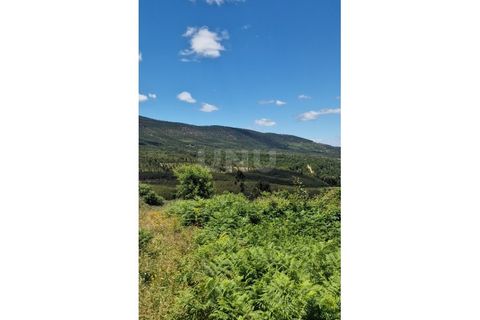 Farm i Estremoz, Evora, Estremoz - € 450.000 | Ref: UNU.I.1277.20159 - foto 29