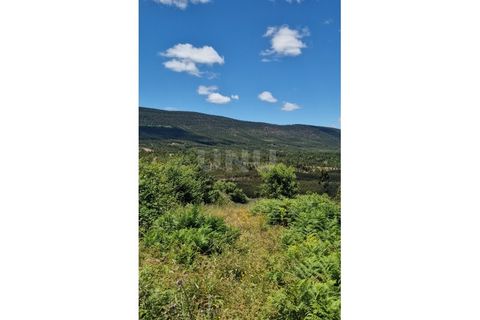 Farm i Estremoz, Evora, Estremoz - € 450.000 | Ref: UNU.I.1277.20159 - foto 30