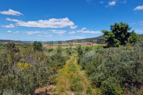Farm i Estremoz, Evora, Estremoz - € 450.000 | Ref: UNU.I.1277.20159 - foto 36