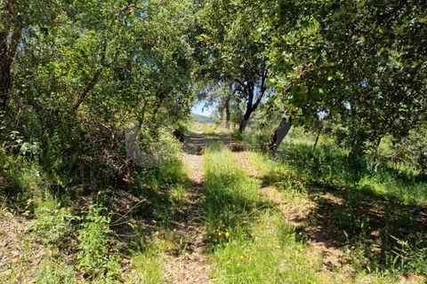 Farm i Estremoz, Evora, Estremoz - € 450.000 | Ref: UNU.I.1277.20159 - foto 38