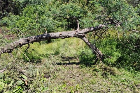 Farm i Estremoz, Evora, Estremoz - € 450.000 | Ref: UNU.I.1277.20159 - foto 39