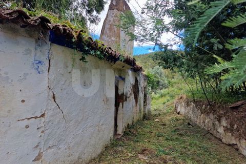 Farm i Estremoz, Evora, Estremoz - € 450.000 | Ref: UNU.I.1277.20159 - foto 43