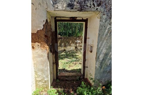Farm i Estremoz, Evora, Estremoz - € 450.000 | Ref: UNU.I.1277.20159 - foto 45