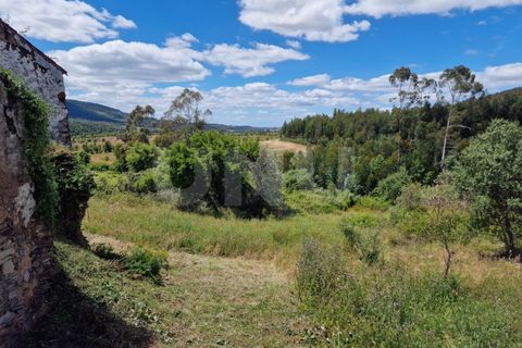 Farm i Estremoz, Evora, Estremoz - € 450.000 | Ref: UNU.I.1277.20159 - foto 46