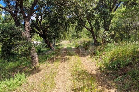 Farm i Estremoz, Evora, Estremoz - € 450.000 | Ref: UNU.I.1277.20159 - foto 47