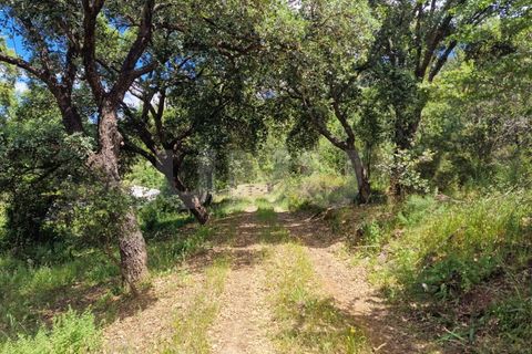 Farm i Estremoz, Evora, Estremoz - € 450.000 | Ref: UNU.I.1277.20159 - foto 48