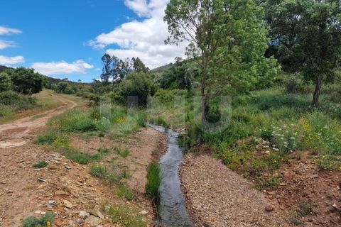 Farm i Estremoz, Evora, Estremoz - € 450.000 | Ref: UNU.I.1277.20159 - foto 50