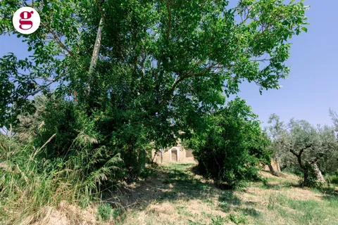 Villa i Vasto, Chieti, Vasto - € 125.000 | Ref: IM202612 - foto 47