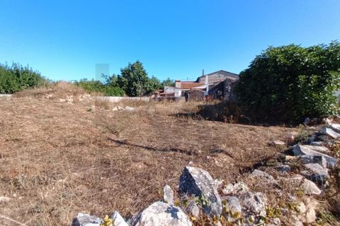 Terra a Fatima, Santarem, Fatima - € 65.000 | Ref: KWPT-033645 - foto 3