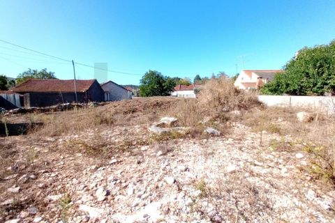 Terra a Fatima, Santarem, Fatima - € 65.000 | Ref: KWPT-033645 - foto 5