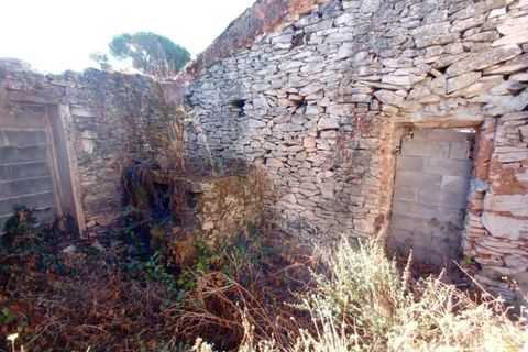 Terra a Fatima, Santarem, Fatima - € 65.000 | Ref: KWPT-033645 - foto 12