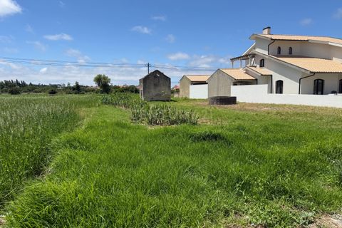 Helårsgrund i Ilhavo, Aveiro, Ilhavo - € 57.000 | Ref: C0385-01012 - foto 2