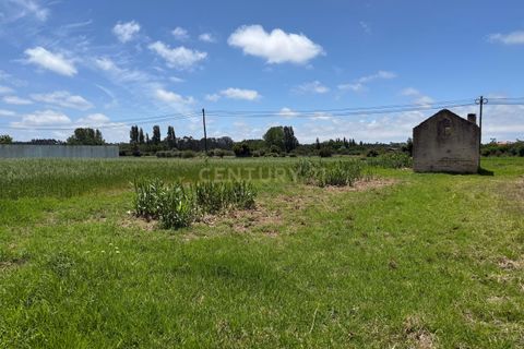 Helårsgrund i Ilhavo, Aveiro, Ilhavo - € 57.000 | Ref: C0385-01012 - foto 3