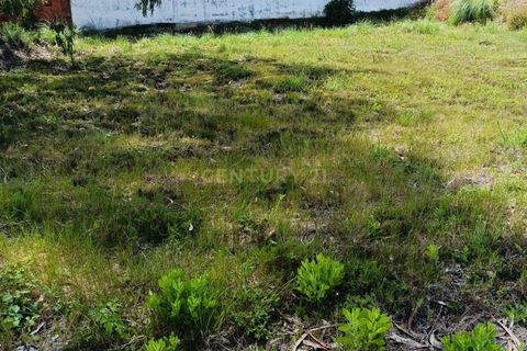 Helårsgrund i Aveiro, Aveiro, Aveiro - € 50.000 | Ref: C0385-01016 - foto 4