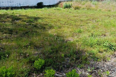 Helårsgrund i Aveiro, Aveiro, Aveiro - € 50.000 | Ref: C0385-01016 - foto 6