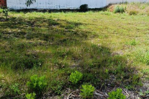 Helårsgrund i Aveiro, Aveiro, Aveiro - € 50.000 | Ref: C0385-01016 - foto 7