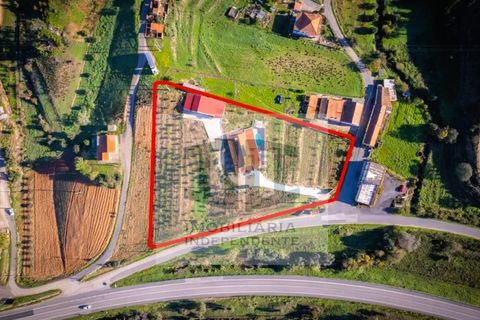 Villa i Silves, Faro, Silves - € 559.000 | Ref: HAB_282 - foto 7