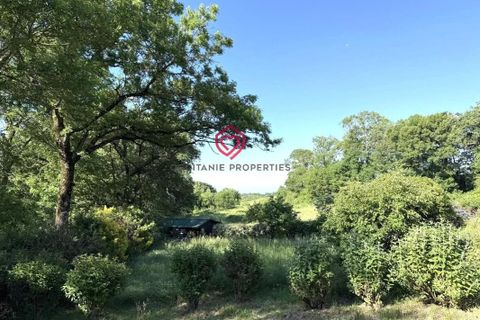Landsbyhus i Cuxac-Cabardes, Aude, Cuxac-Cabardes - € 149.500 | Ref: NVV1166 - foto 16