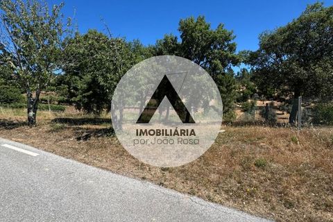 Helårsgrund i Proenca-a-Nova, Castelo Branco, Proenca-a-Nova - € 43.000 | Ref: SB001 - foto 3