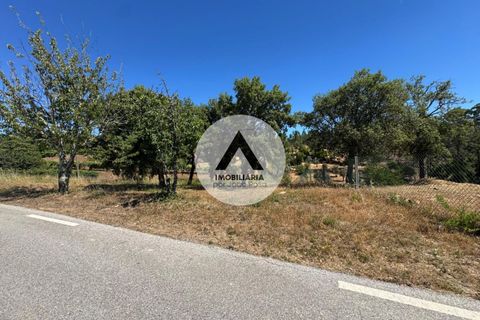 Helårsgrund i Proenca-a-Nova, Castelo Branco, Proenca-a-Nova - € 43.000 | Ref: SB001 - foto 4