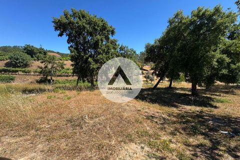 Helårsgrund i Proenca-a-Nova, Castelo Branco, Proenca-a-Nova - € 43.000 | Ref: SB001 - foto 5