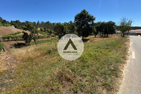 Helårsgrund i Proenca-a-Nova, Castelo Branco, Proenca-a-Nova - € 43.000 | Ref: SB001 - foto 6