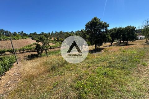 Helårsgrund i Proenca-a-Nova, Castelo Branco, Proenca-a-Nova - € 43.000 | Ref: SB001 - foto 7