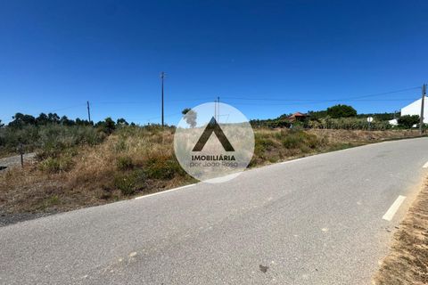 Helårsgrund i Proenca-a-Nova, Castelo Branco, Proenca-a-Nova - € 43.000 | Ref: SB001 - foto 9