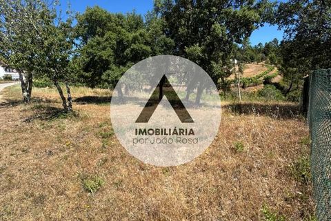 Helårsgrund i Proenca-a-Nova, Castelo Branco, Proenca-a-Nova - € 43.000 | Ref: SB001 - foto 10