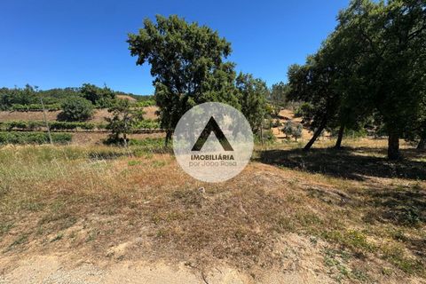 Helårsgrund i Proenca-a-Nova, Castelo Branco, Proenca-a-Nova - € 43.000 | Ref: SB001 - foto 11