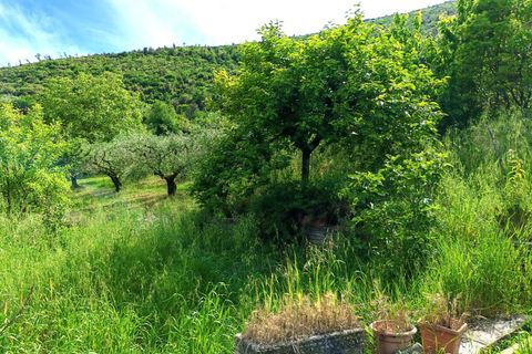 Villa a Segni, Rome, Segni - € 170.000 | Ref: 214-003 - foto 4