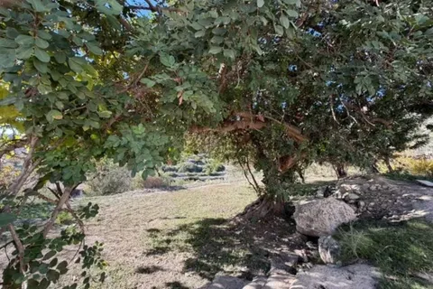 Cortijo i Sorbas, Almeria, Sorbas - € 114.950 | Ref: E328 - foto 3