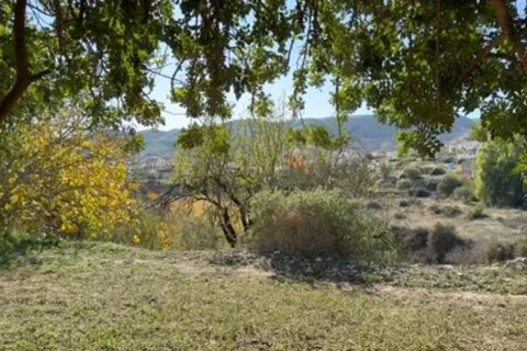 Cortijo i Sorbas, Almeria, Sorbas - € 114.950 | Ref: E328 - foto 4