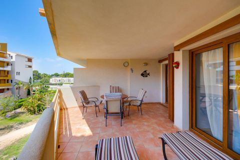 Apartamento en Punta Prima, Alicante, Punta Prima - € 239.969 | Ref: CSPX-33217 - photo 28