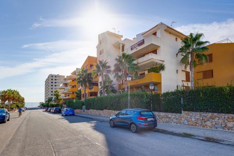 Apartamento en Punta Prima, Alicante, Punta Prima - € 239.969 | Ref: CSPX-33217 - photo 33