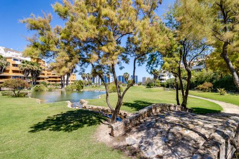 Apartamento en Punta Prima, Alicante, Punta Prima - € 239.969 | Ref: CSPX-33217 - photo 49