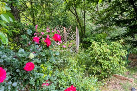 Villa i Limoux, Aude, Limoux - € 289.000 | Ref: BVI85744 - foto 14