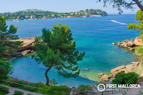 Appartement in Santa Ponsa, Mallorca - foto 3