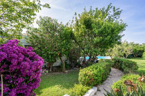 Landejendom i Estepona, Malaga, Estepona - € 550.000 | Ref: DLR17083/14009 - foto 39