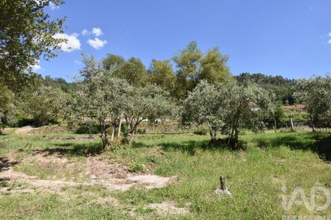 Helårsgrund i Penela, Coimbra, Penela - € 35.000 | Ref: 944201 - foto 4