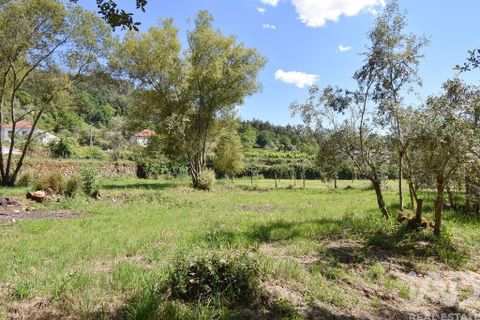 Helårsgrund i Penela, Coimbra, Penela - € 35.000 | Ref: 944201 - foto 5