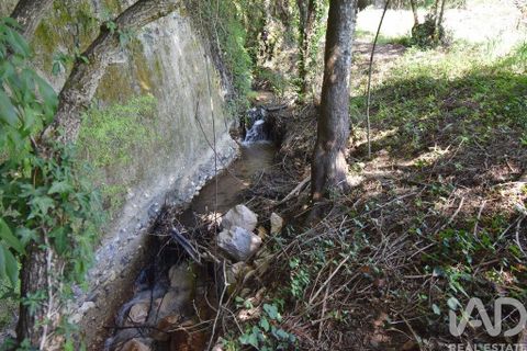 Helårsgrund i Penela, Coimbra, Penela - € 35.000 | Ref: 944201 - foto 7
